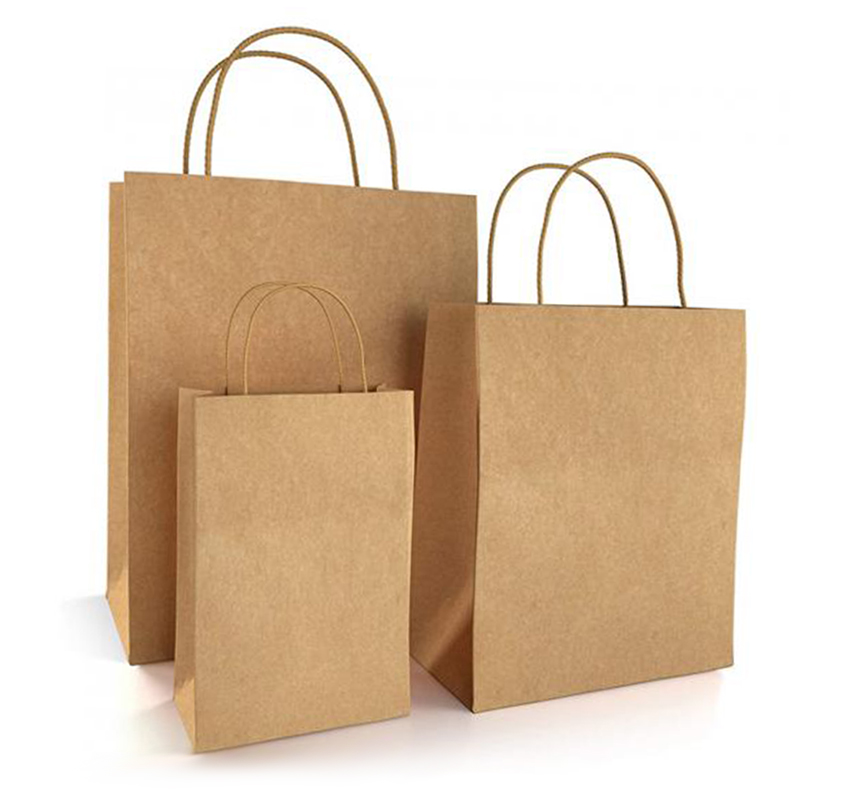 Takeaway Bag