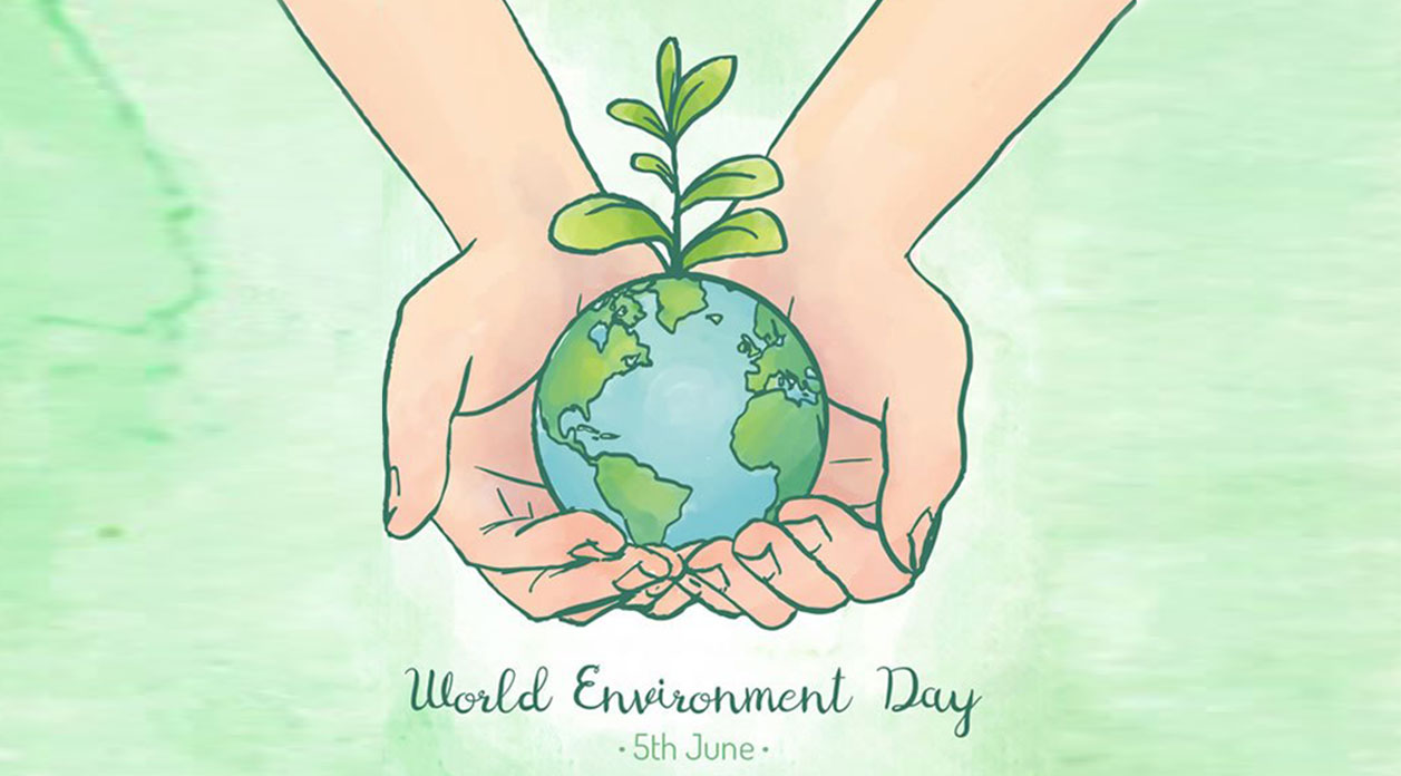 World Environmental Day for biodegradable food packaging bag