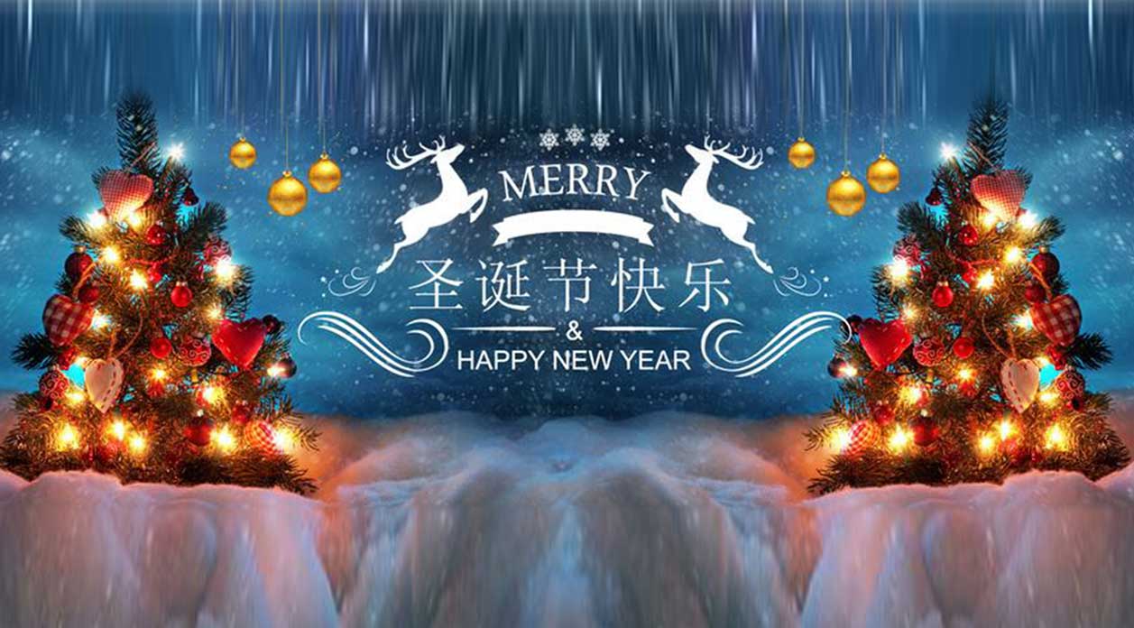 2021 Merry Christmas & Happy New Year 2022