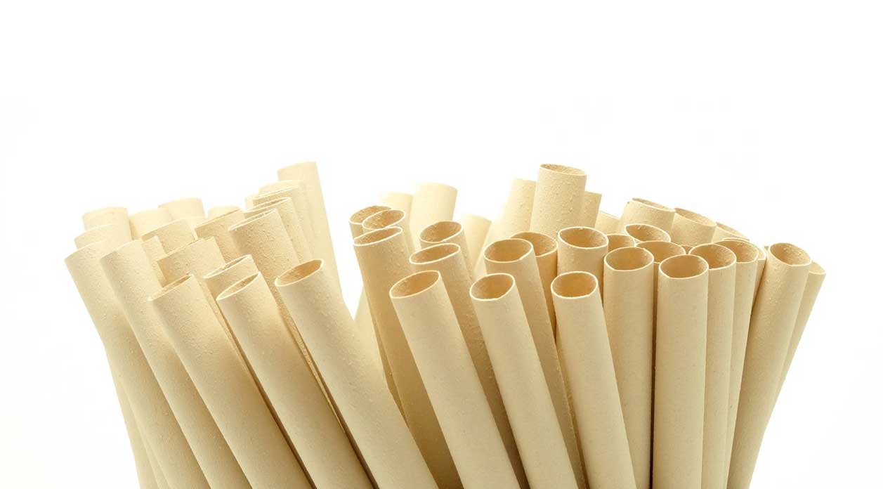 Fpacksolution Eco Friendly Bamboo Fiber Straws